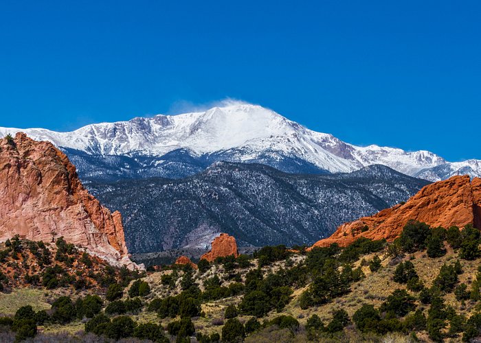 NFT Development Company in Colorado Springs